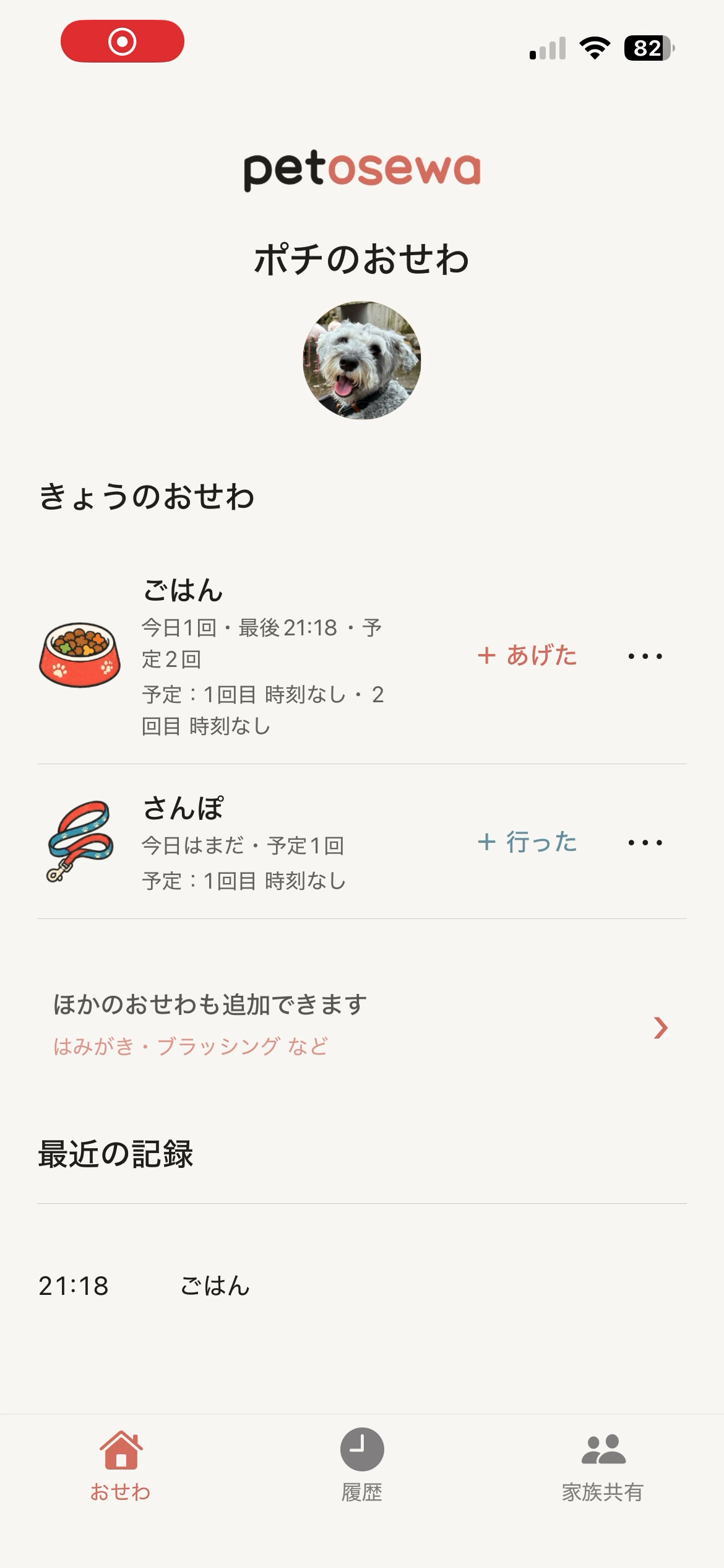 petosewaの実画面。ごはんの記録と、今日のおさんぽの状況を一覧で確認できます。